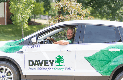Benefits Of Hiring Certified Arborist