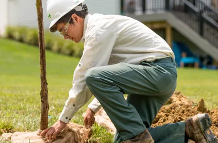 Remove Burlap And Wire Cage When Planting Tree Davey Tree