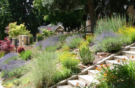 Drought Landscape