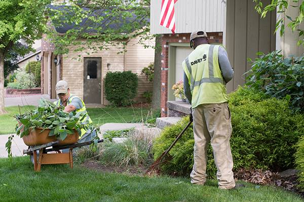 Spring Checklist Photo 2