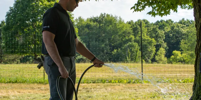 watering with hose