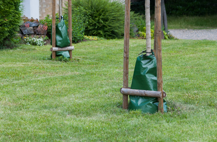 Tree Watering Bag Stock