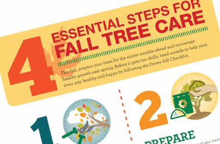 091515 Fall Checklist