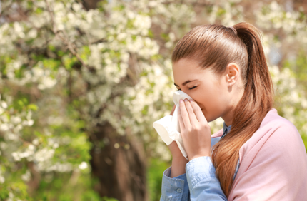 Best Trees For Allergies