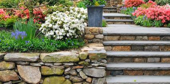 Dig Around and Trench Through Tree Roots | Davey Blog | Davey Tree