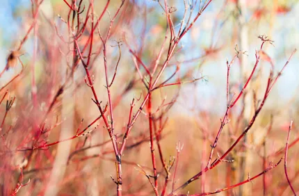 Adobestock 72113886