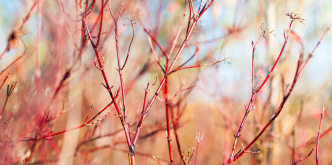 Adobestock 72113886