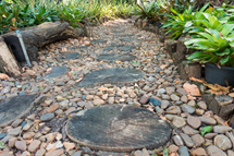 Tree Stump Stepping Stones Stock 600X400