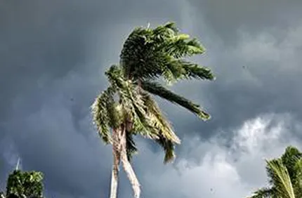 Hurricane Wind