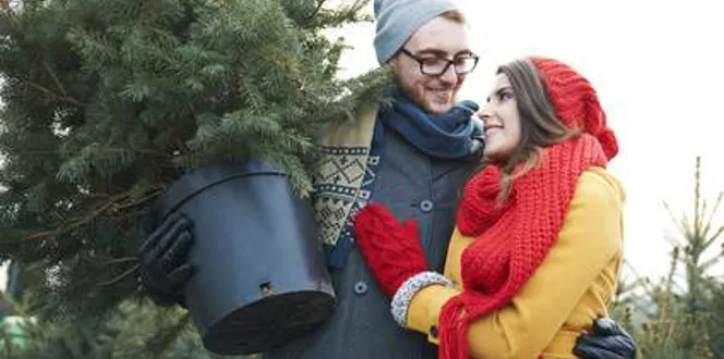 Caring For A Live Potted Christmas Tree With Roots Davey Tree