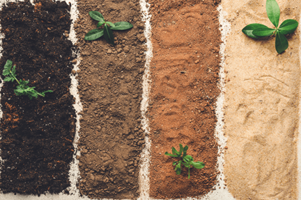 Types Of Garden Soil
