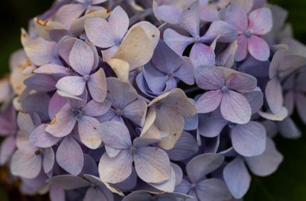 Adobestock 528964490