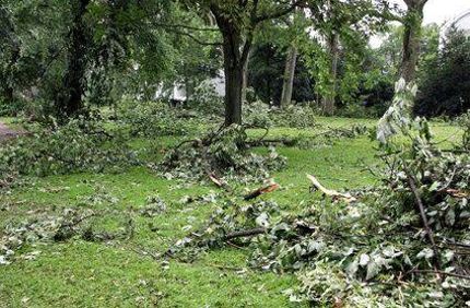 Storm Damage