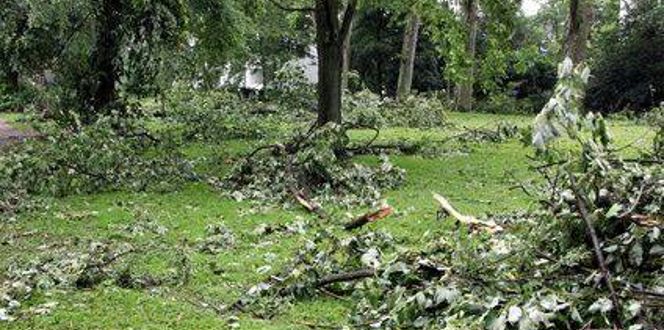 Storm Damage