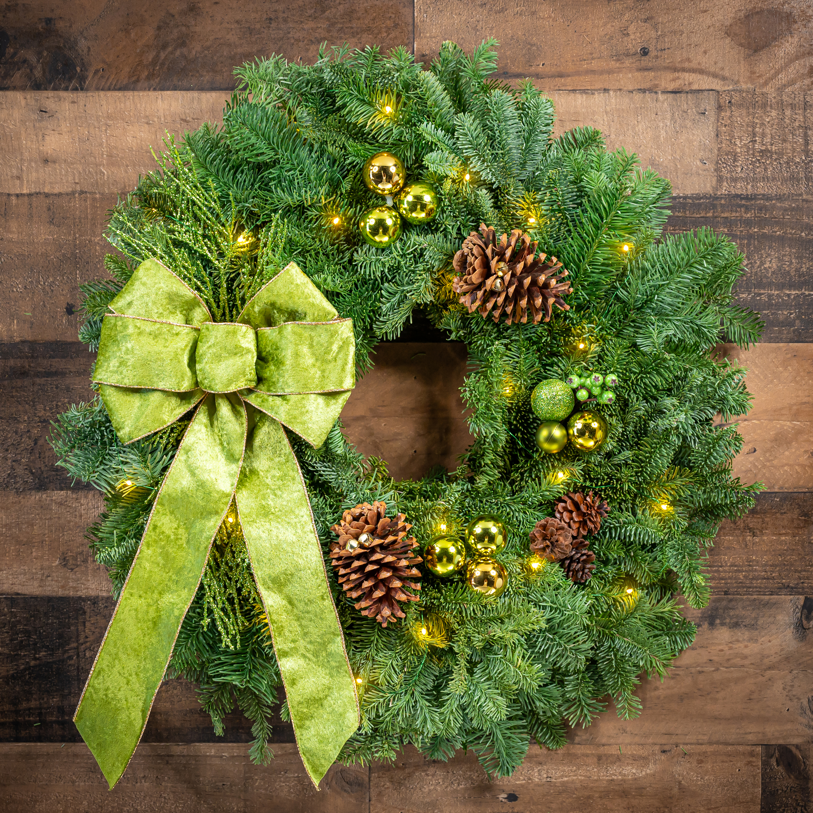 001 Wintergreen DSC 4019 Edit