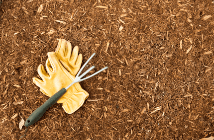 Mulch That Repels Bugs