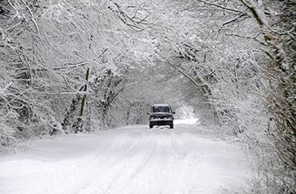 Car Driving Through Snowy Forest