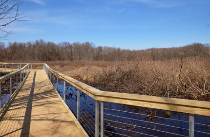 How to Get Rid of Spring Webworms or Eastern Tent Caterpillars | Davey ...