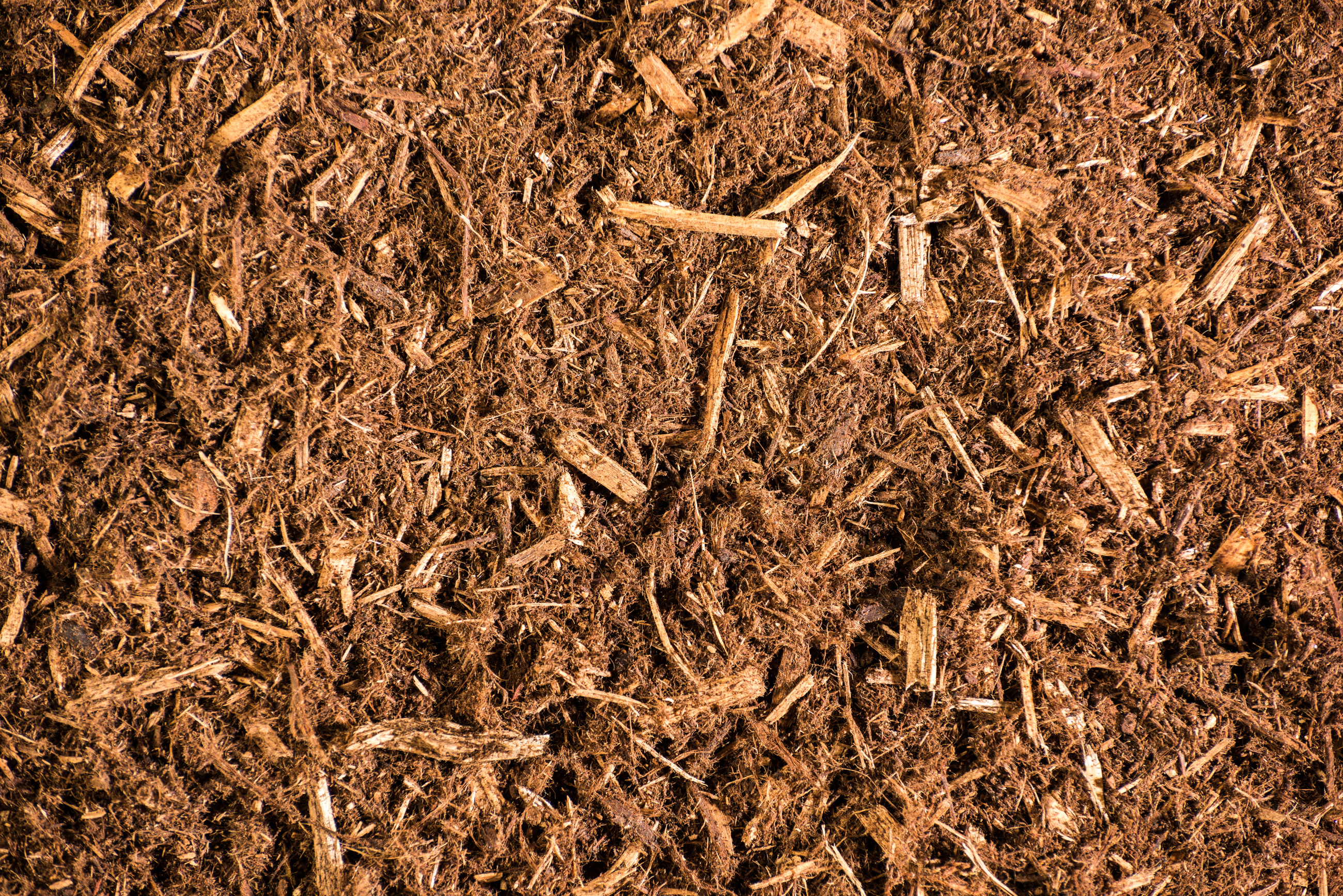 Image of Cypress mulch brown mulch free to use