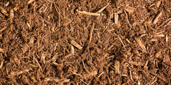 Cedar Mulch